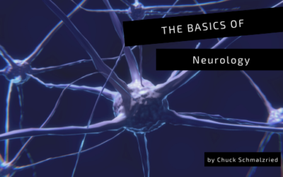 The Basics of Neurology