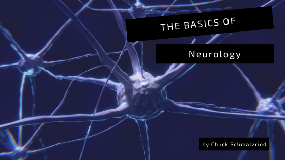 The Basics of Neurology