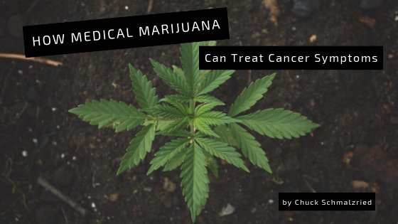 How Medical Marijuana Can Treat Cancer Symptoms Chuck Schmalzried
