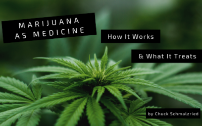 Marijuana as Medicine: How it Works and What it Treats