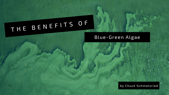 The Benefits of Blue-Green Algae