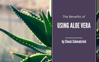 The Benefits of Using Aloe Vera