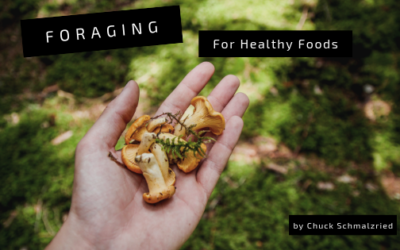 Foraging for Healthy Foods