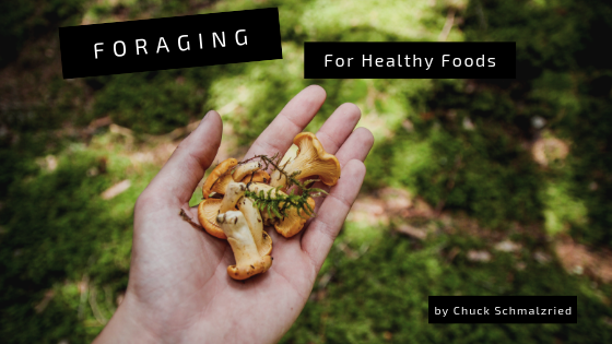 Foraging for Healthy Foods