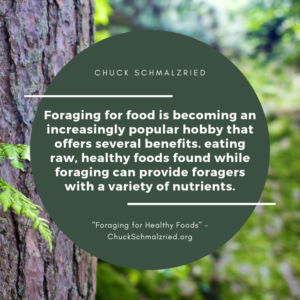 foraging for healthy foods chuck schmalzried quote