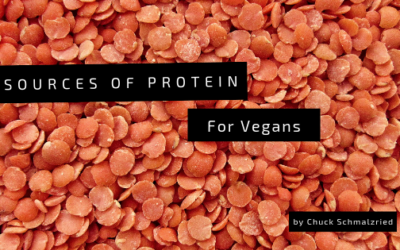 Sources of Protein for Vegans